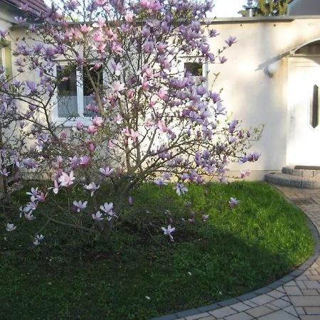 Ferienhaus Dresden, Strietzel